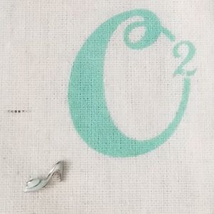 Origami Owl Aqua Princess Slipper - HTF
